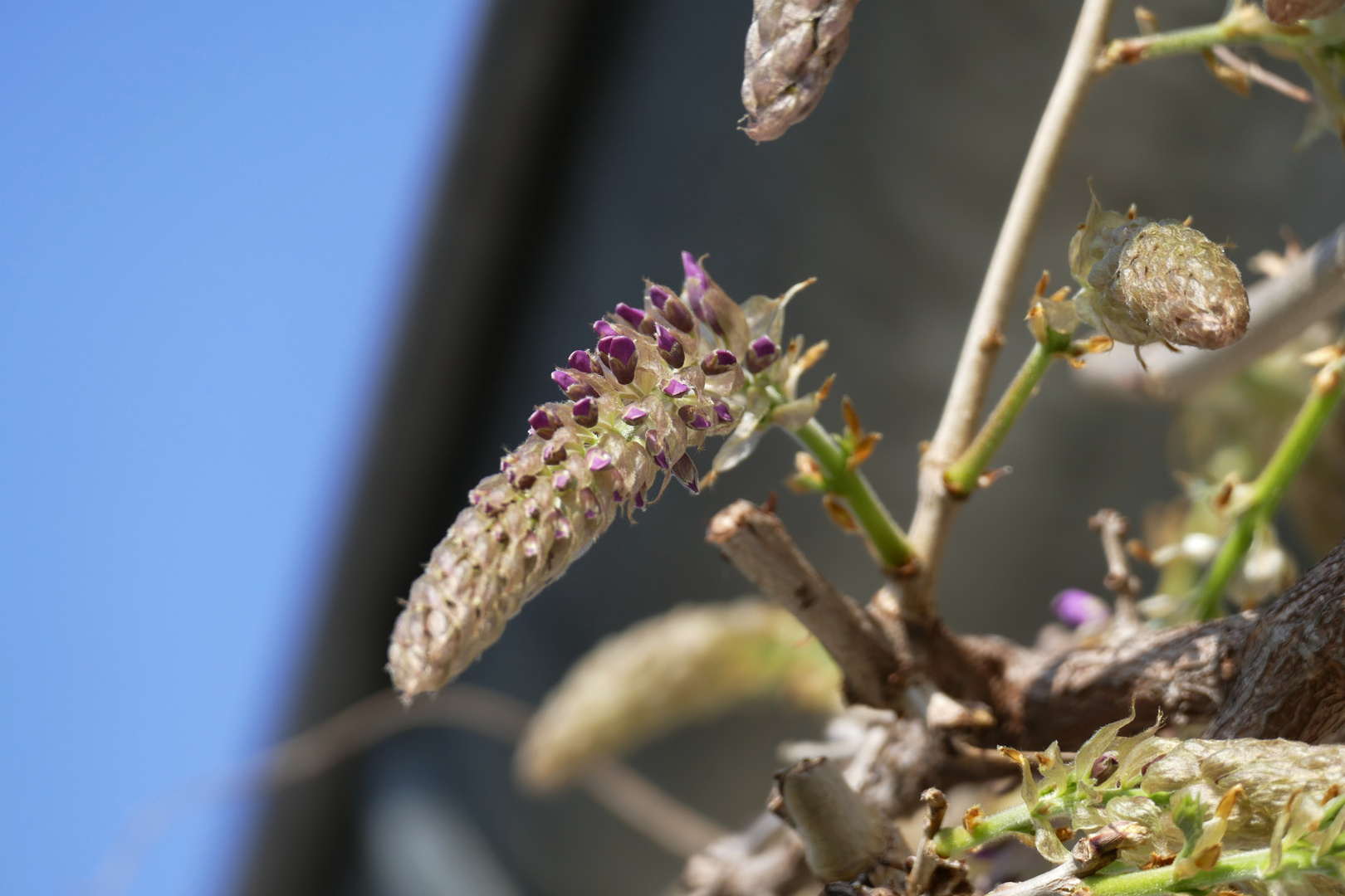 Der Frühling hat begonnen