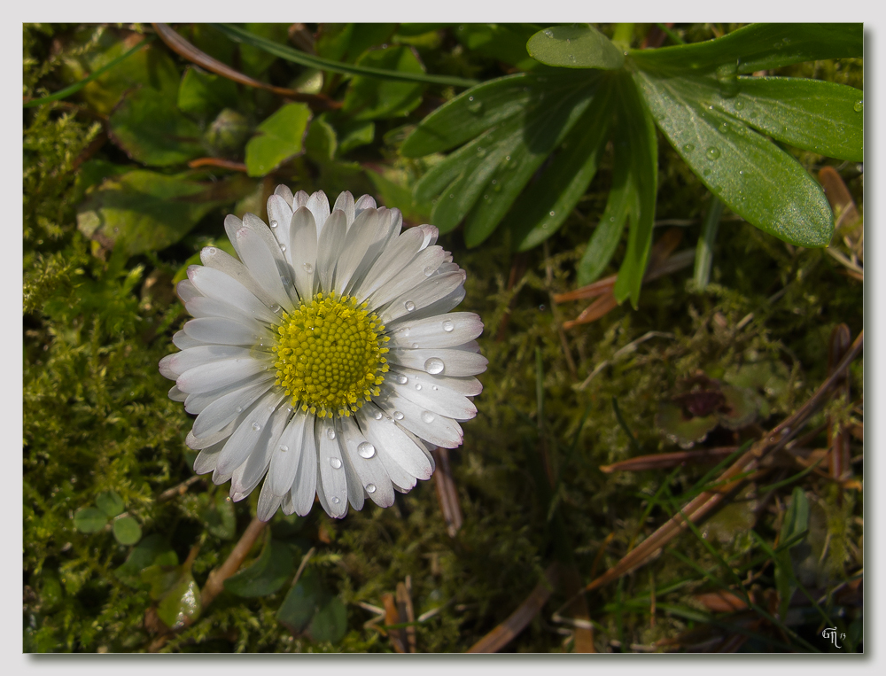 Der Frühling hat begonnen und..................