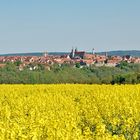 Der Frühling hat die Schlacht gewonnen