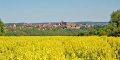 Der Frühling hat die Schlacht gewonnen