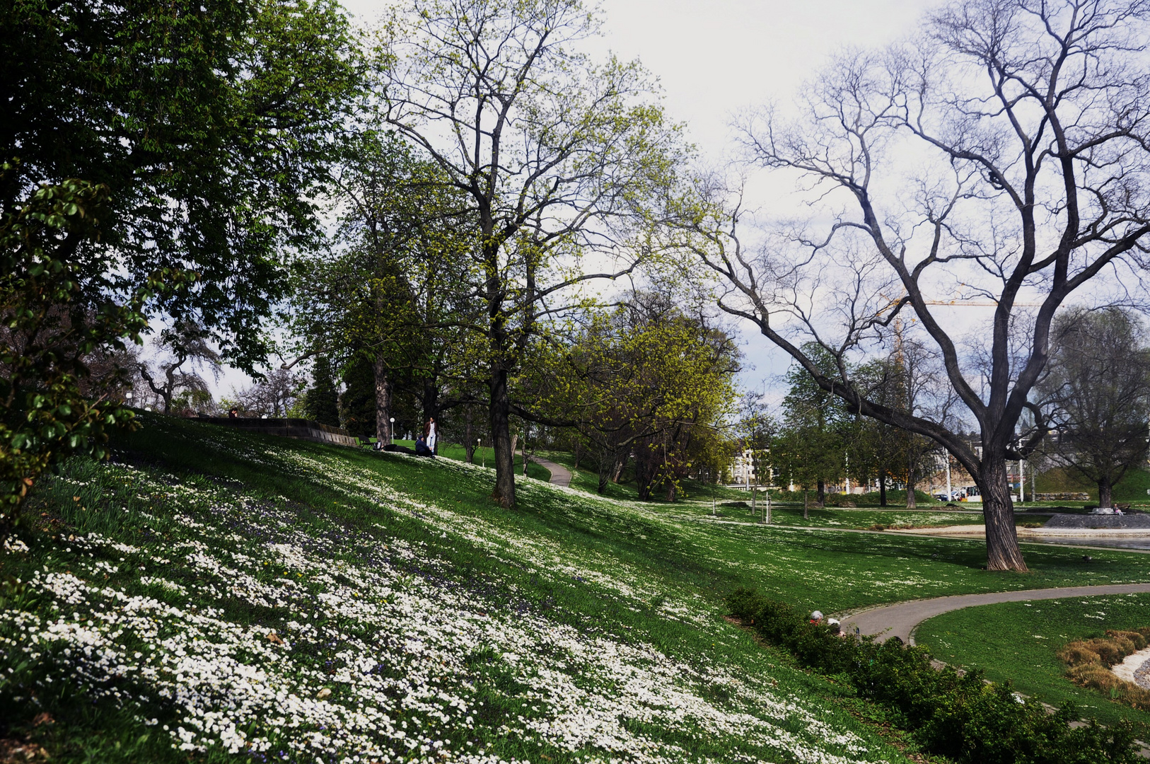 Der Frühling hat Einkehr gehalten im Rosensteinpark