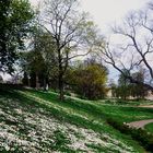 Der Frühling hat Einkehr gehalten im Rosensteinpark