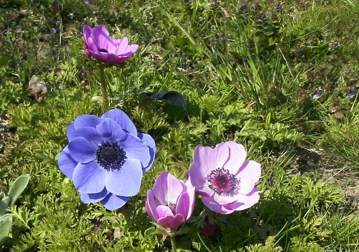 Der Frühling hat Einzug gehalten