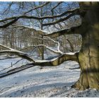 Der Frühling hat es noch schwer