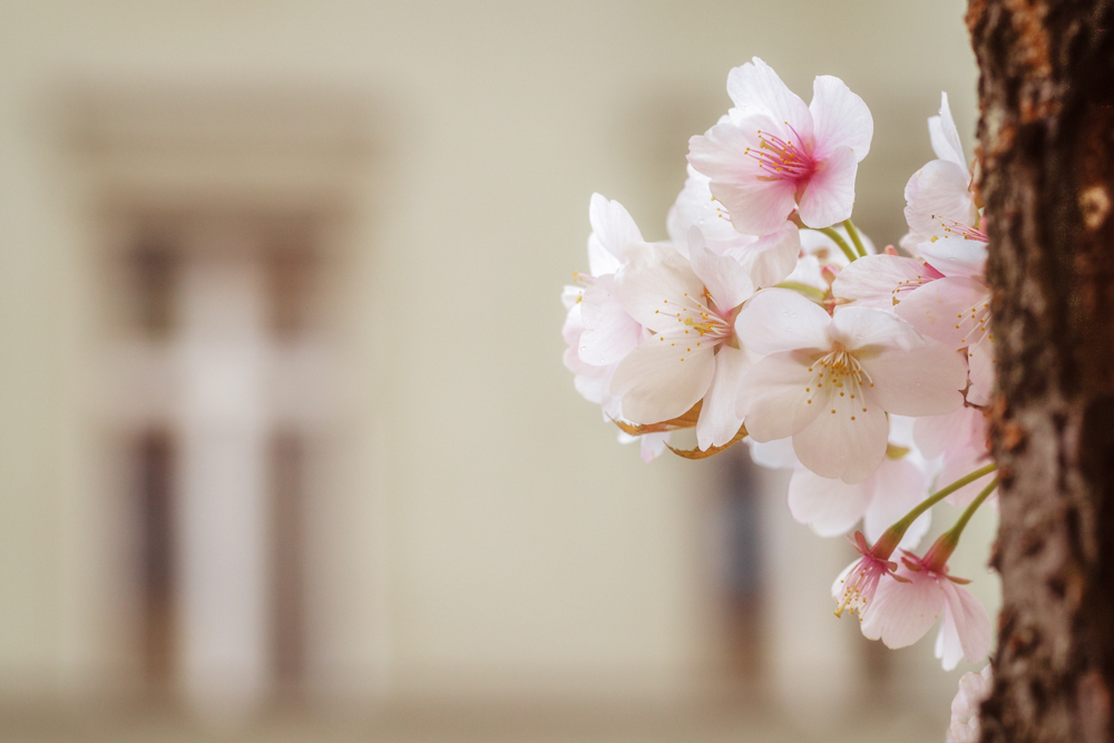 Der Frühling hat sich ...