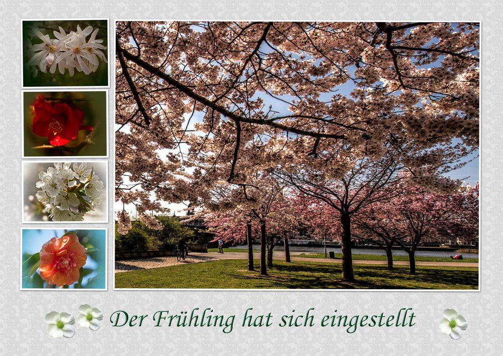 Der Frühling hat sich eingestellt