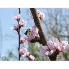 Der Frühling hat sich eingestellt