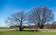 Der Frühling hat uns noch nicht erreicht