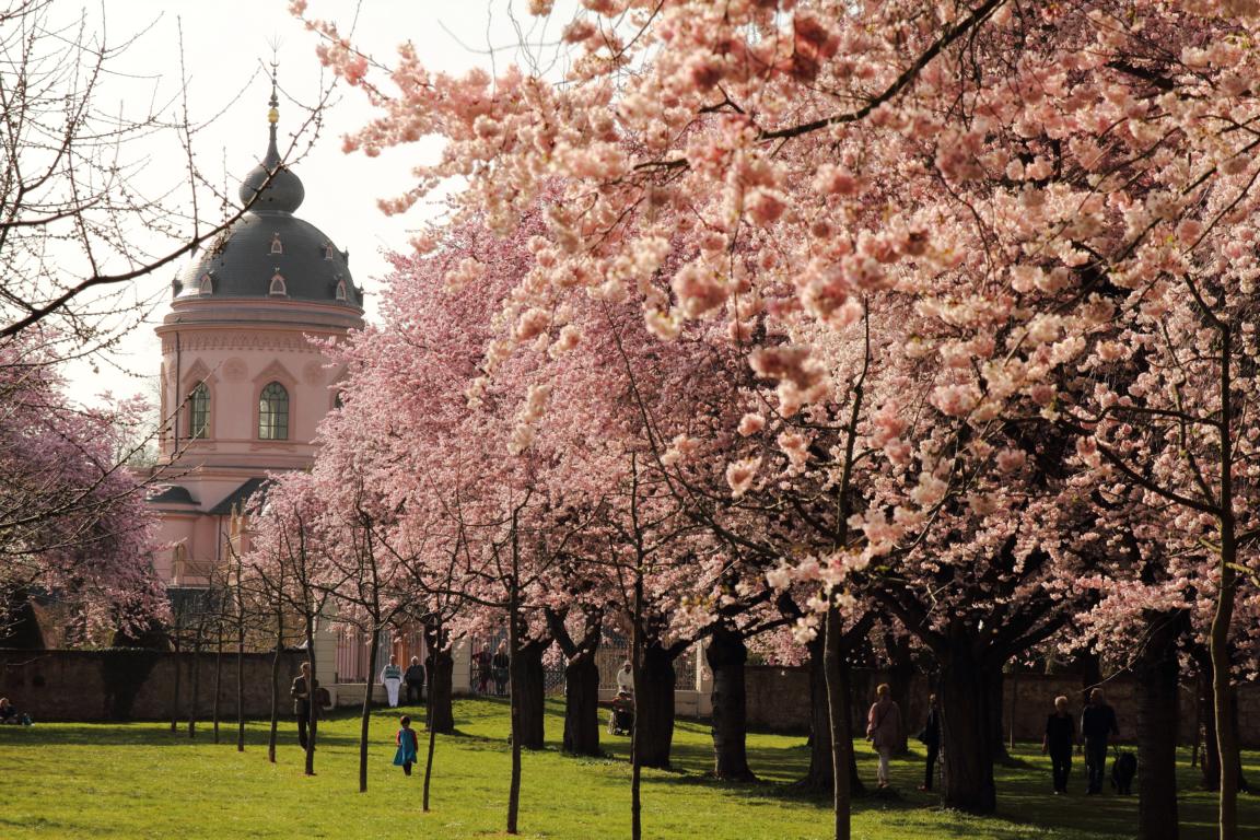 der Frühling im Schloßgarten