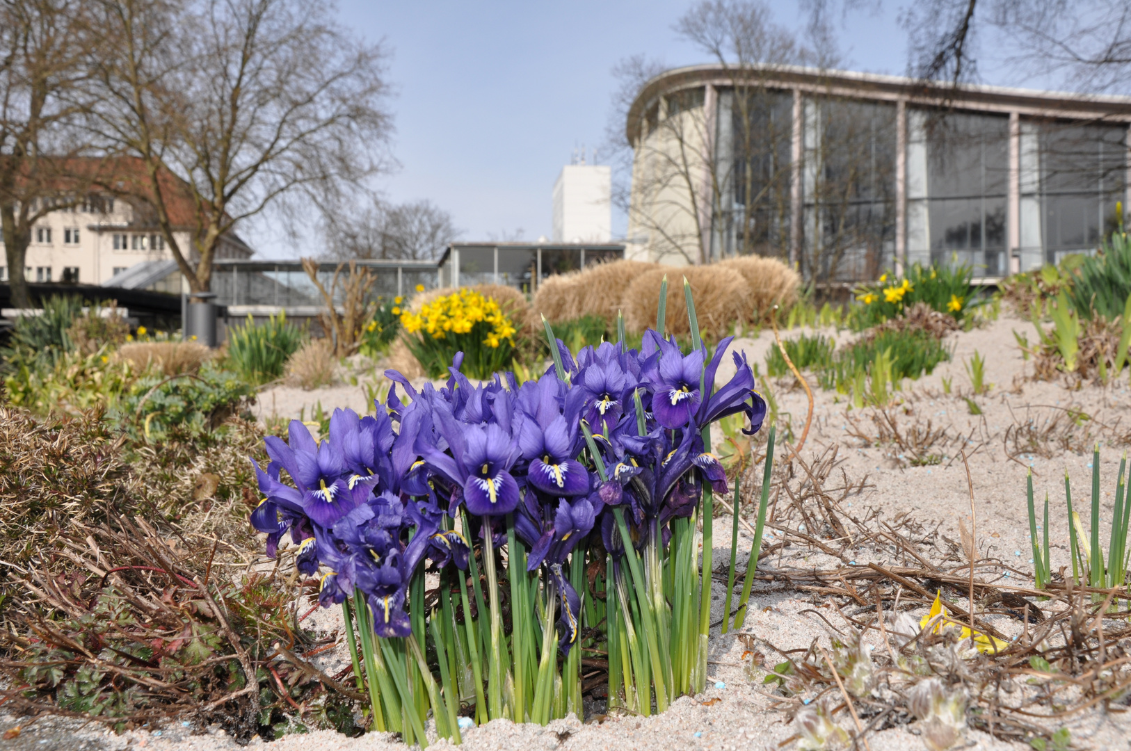 Der Frühling im Stadtgarten in Karlsruhe