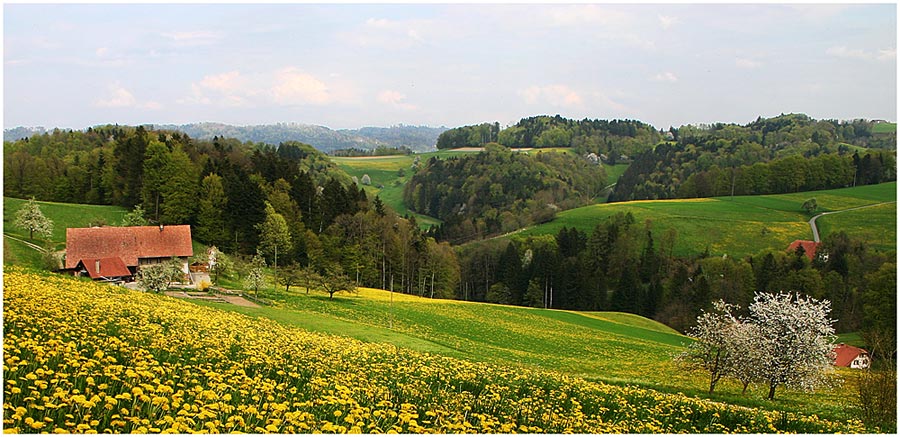 Der Frühling im Tal