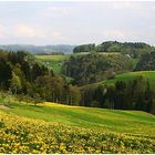 Der Frühling im Tal