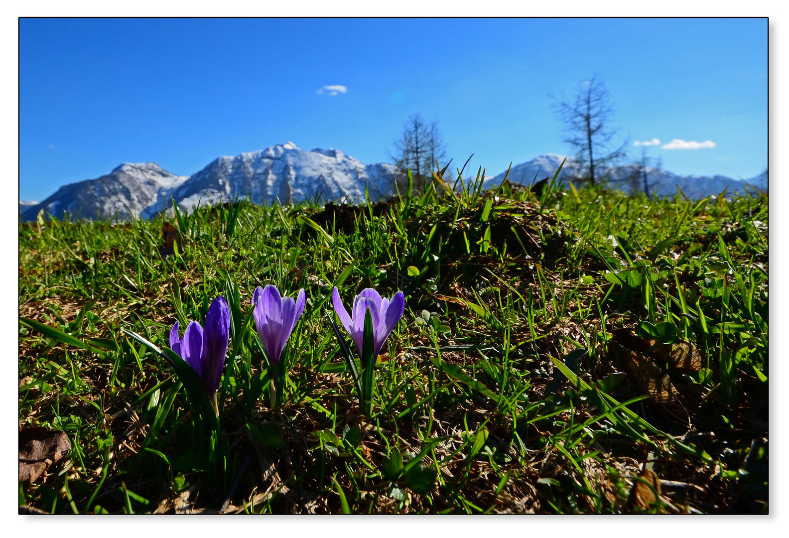 Der Frühling in den Bergen