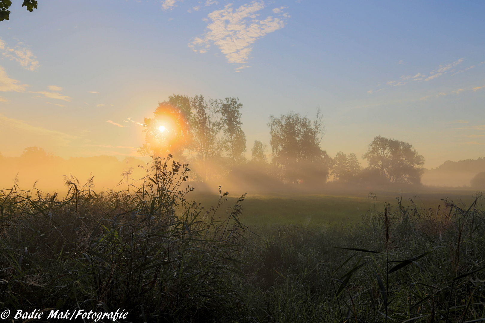 Der Frühling in der Lausitz 3