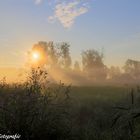 Der Frühling in der Lausitz 3