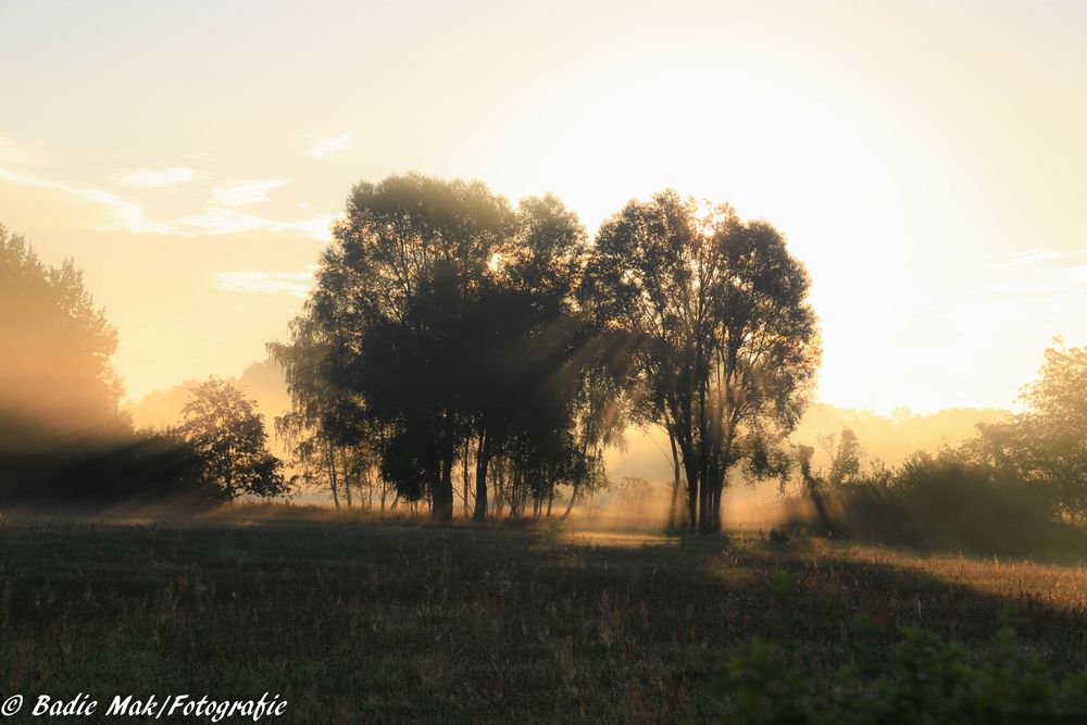 Der Frühling in der Lausitz 4