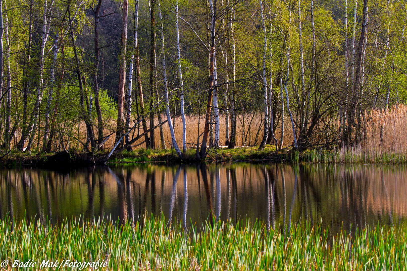 Der Frühling in der Lausitz