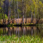 Der Frühling in der Lausitz