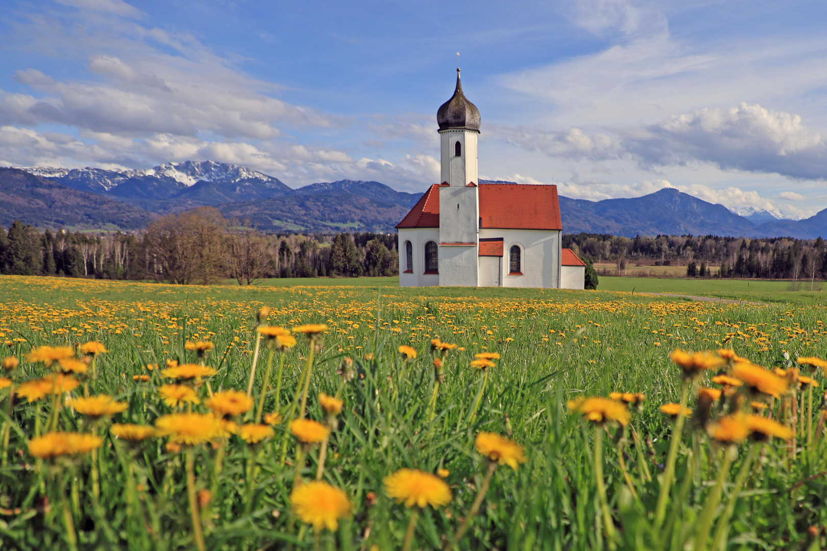 Der Frühling in Oberbayern...