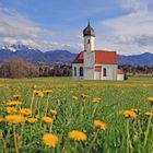 Der Frühling in Oberbayern...