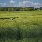 Der Frühling in Schutschur 