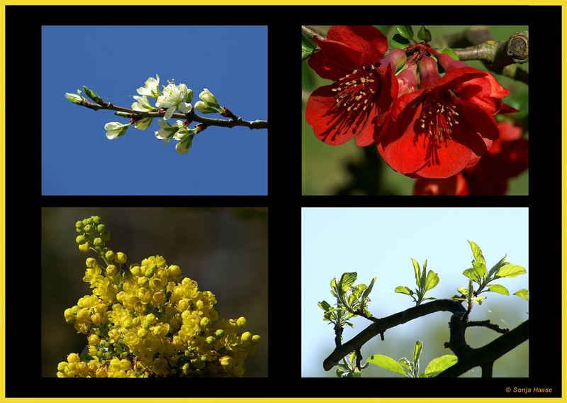 Der Frühling in seinen schönsten Farben