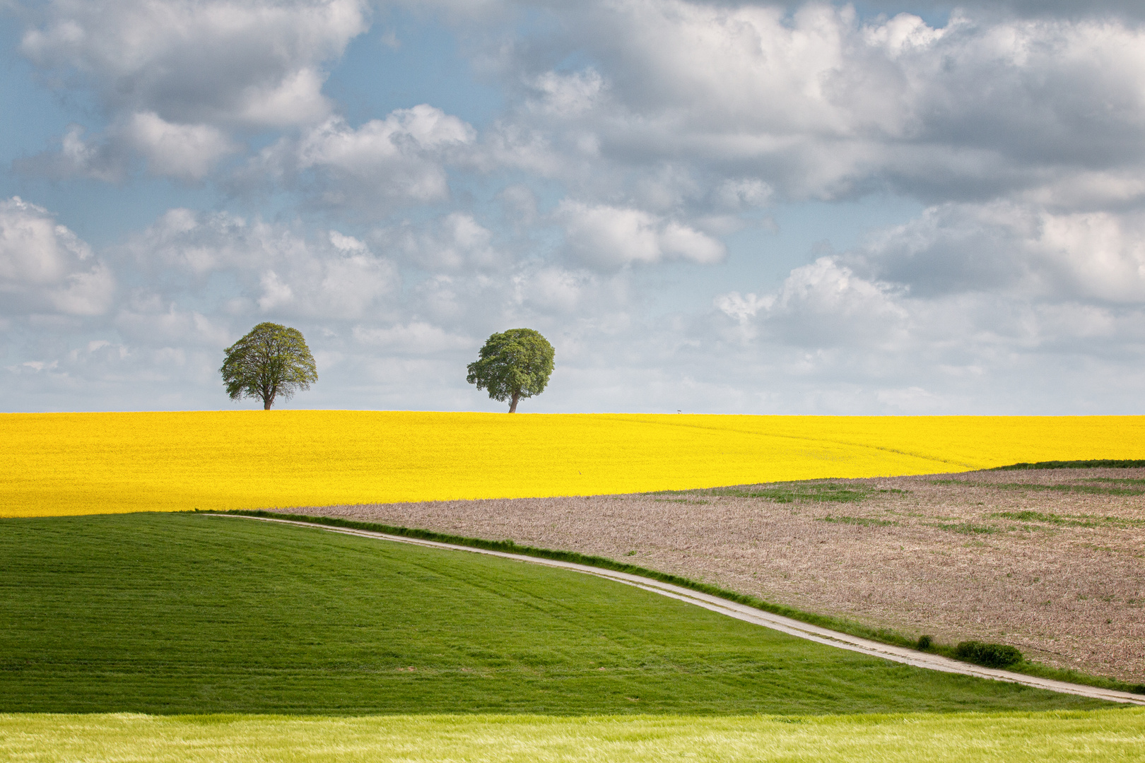 Der Frühling in seinen schönsten Farben