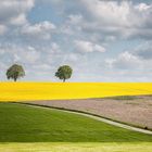 Der Frühling in seinen schönsten Farben