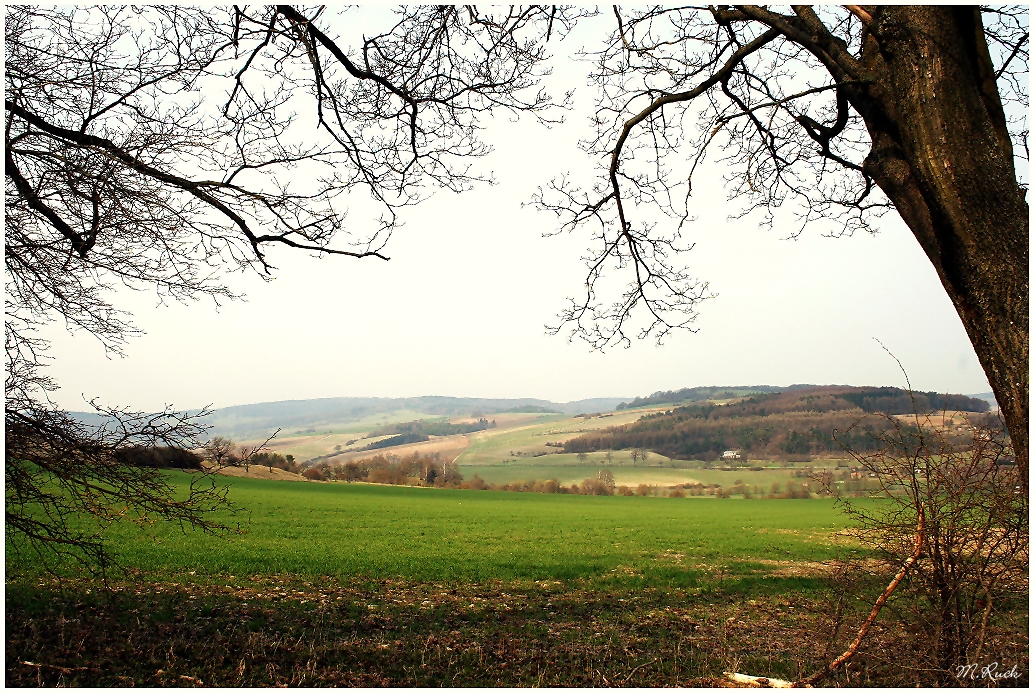 Der Frühling ist angekommen ! .01