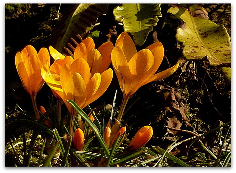 Der Frühling ist angekommen.