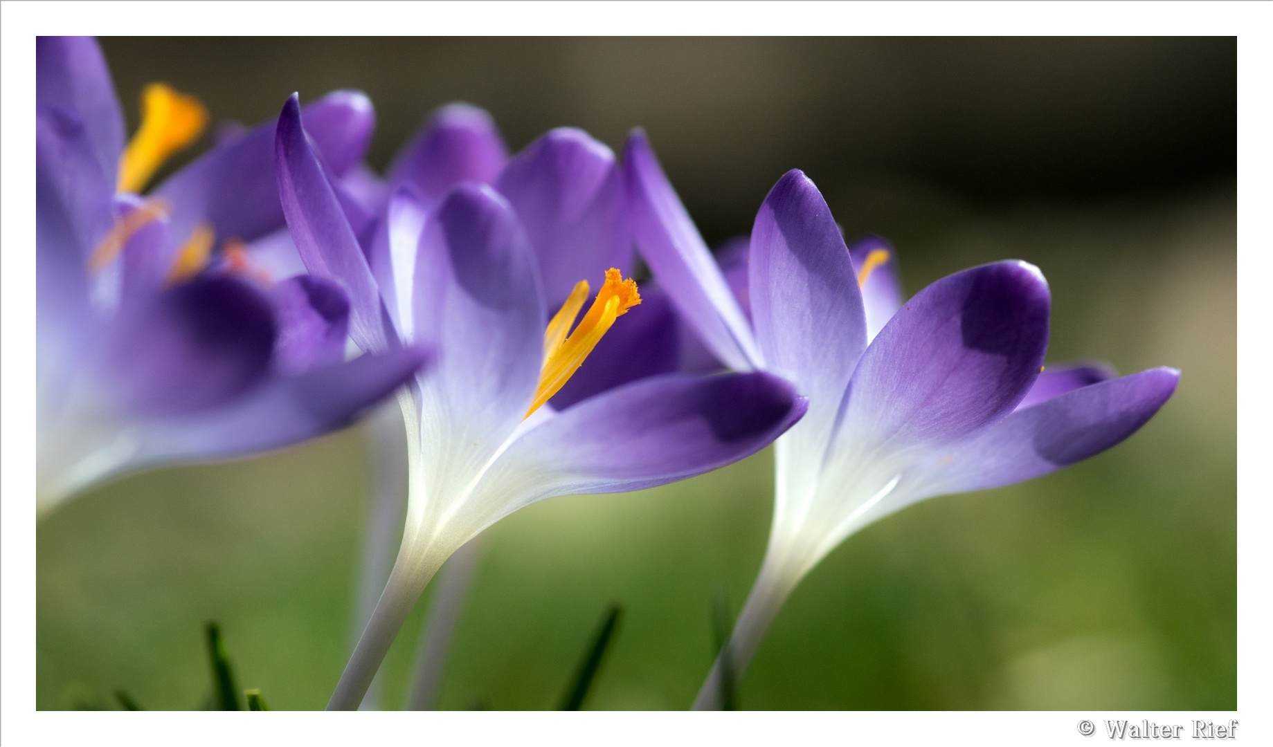 der Frühling ist angekommen