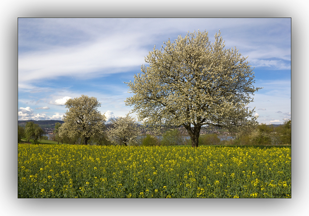 Der Frühling ist angekommen...