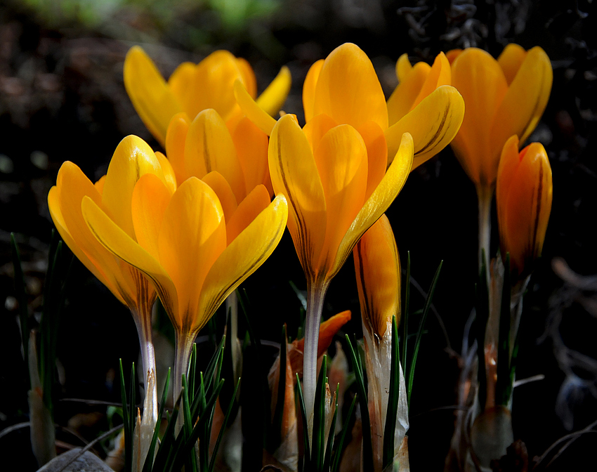 Der Frühling ist angekommen