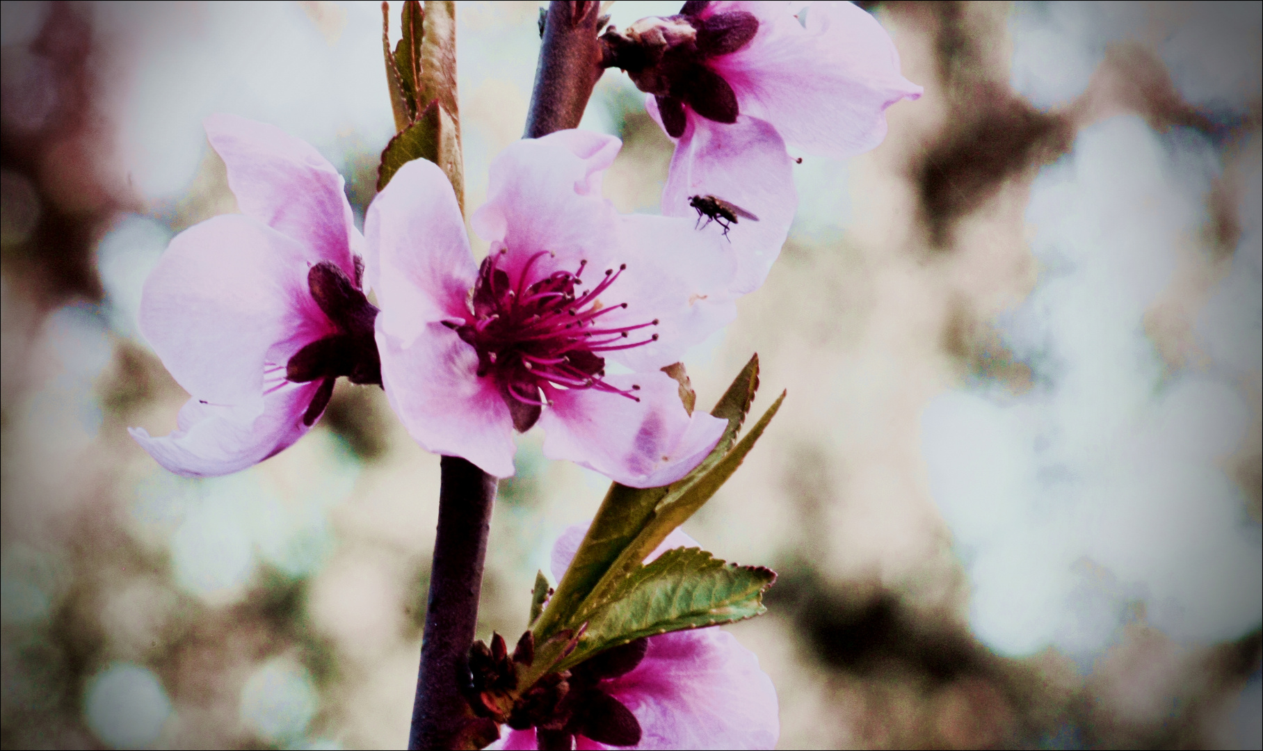 Der Frühling ist angekommen