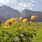 der Frühling ist auch auf den Bergen eingekehrt