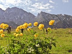 der Frühling ist auch auf den Bergen eingekehrt