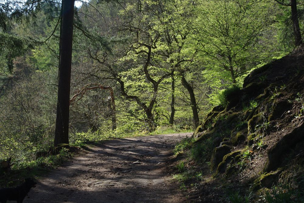 Der Frühling ist auf dem Weg