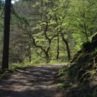 Der Frühling ist auf dem Weg