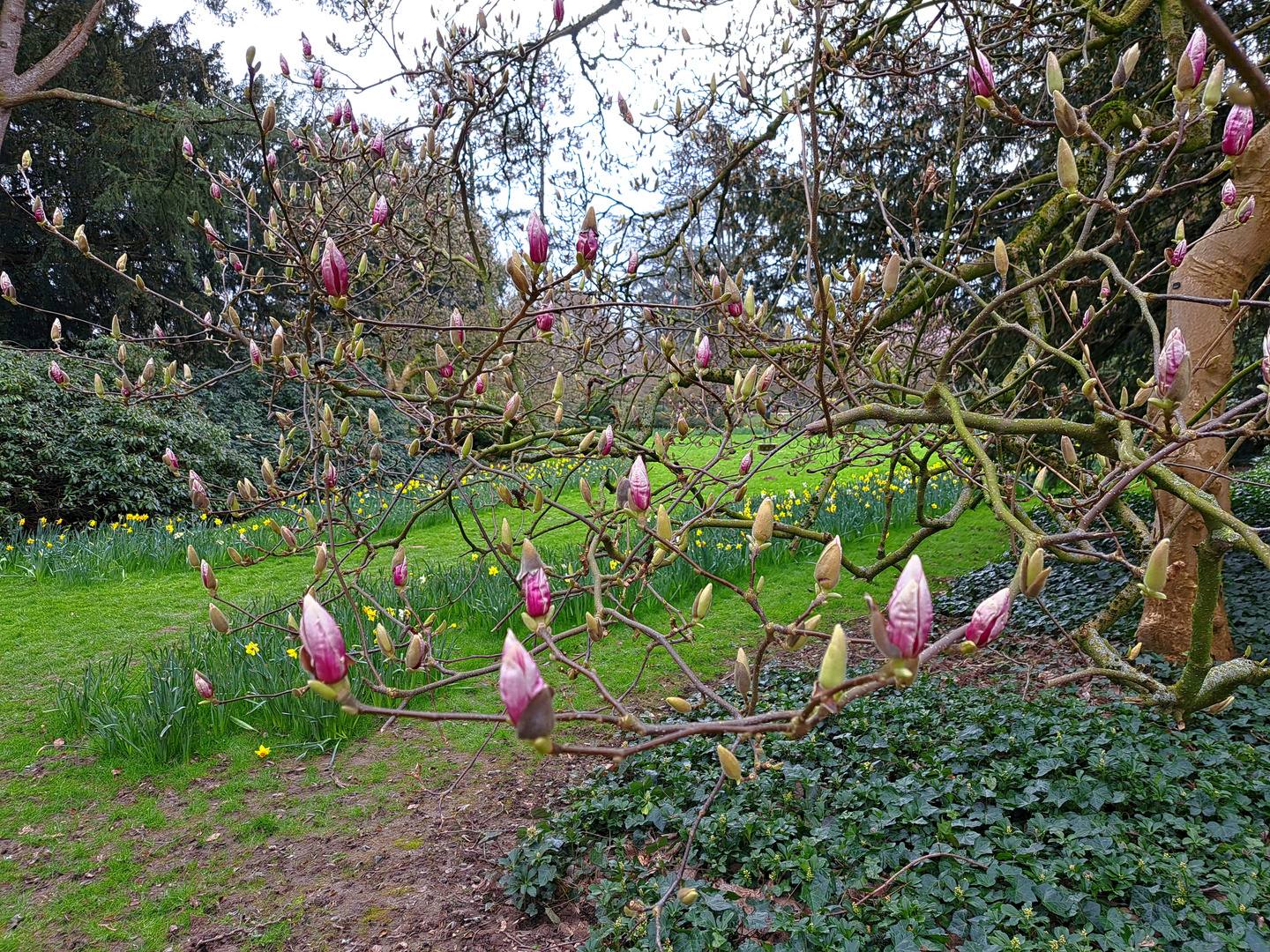 Der Frühling ist auf dem Weg zu uns.