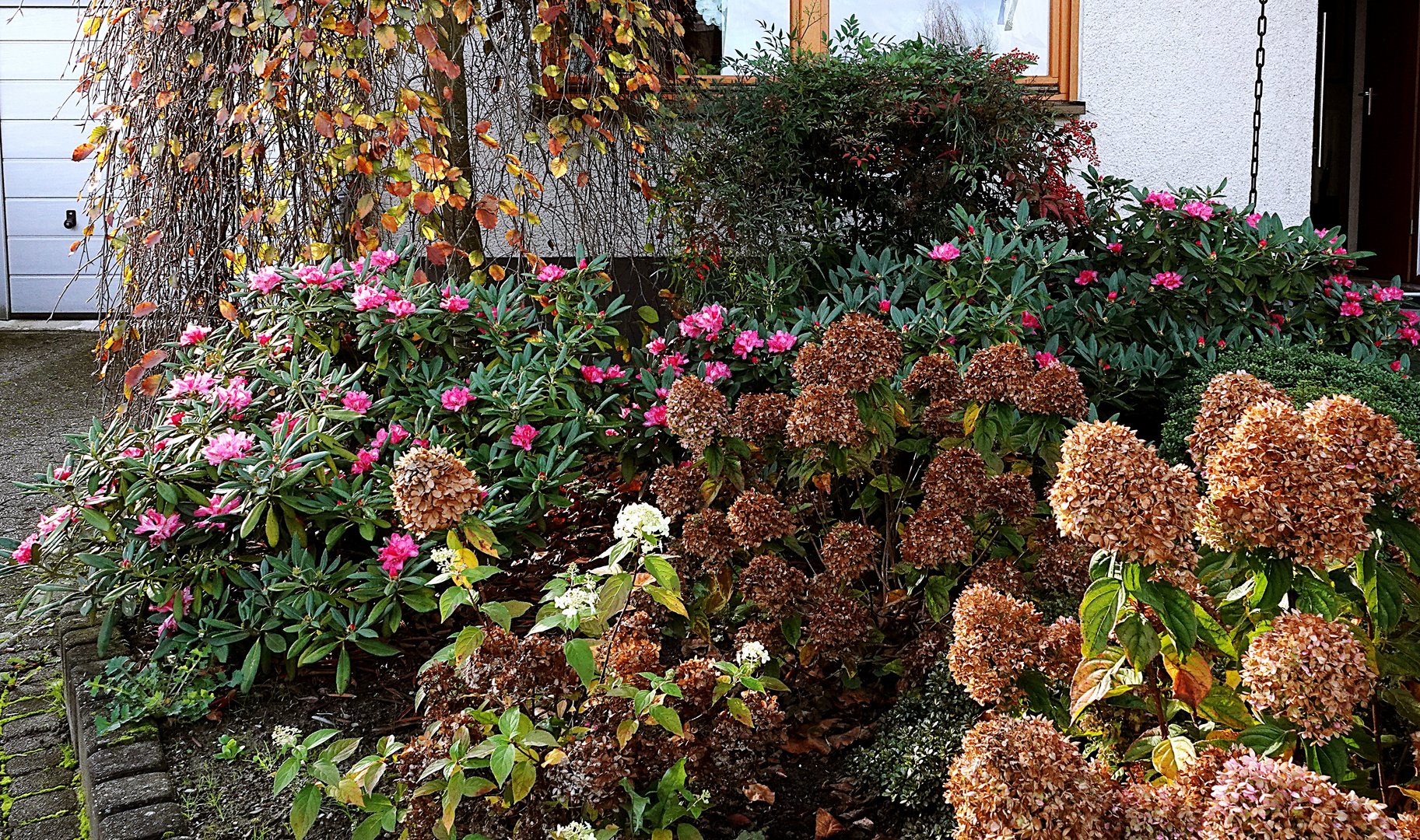 der Frühling ist bei uns im zurückgekommen Foto & Bild