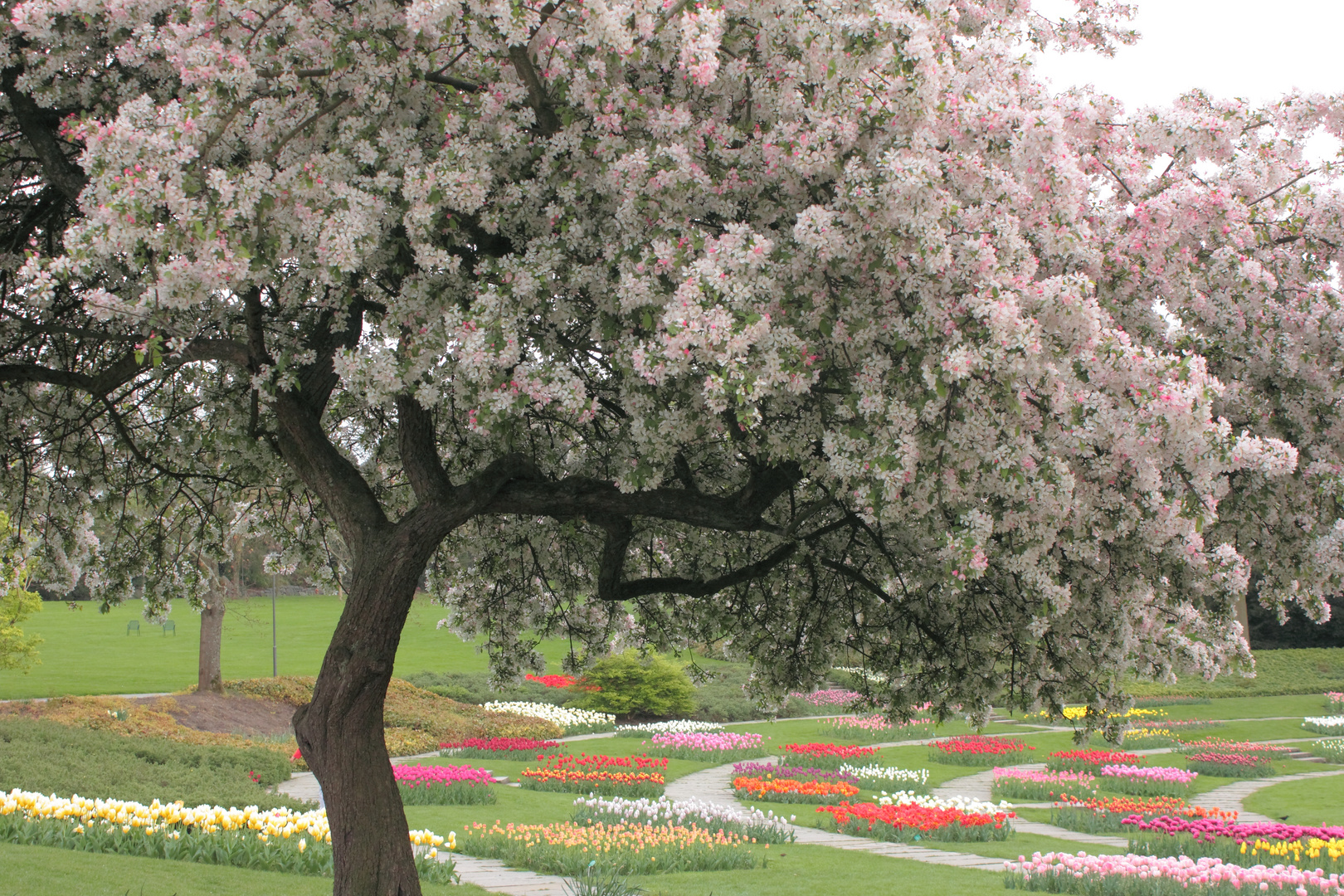 Der Frühling ist bunt