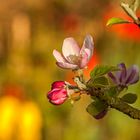 Der Frühling ist bunt!