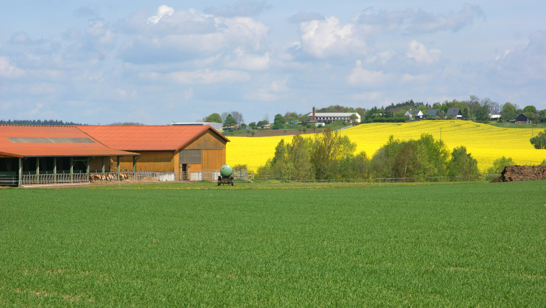 Der Frühling ist bunt