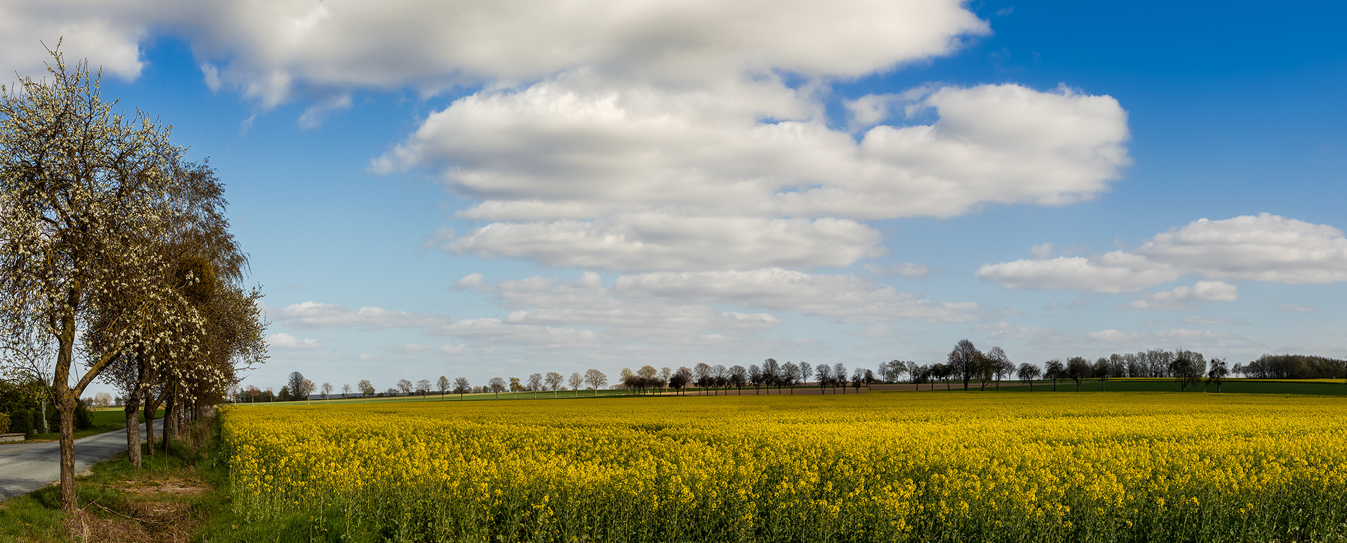 Der Frühling ist da 004