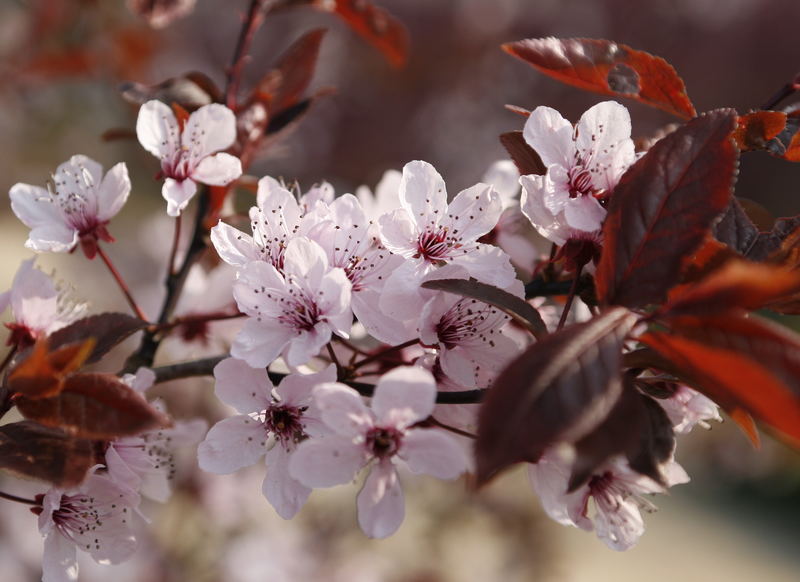 Der Frühling ist da!