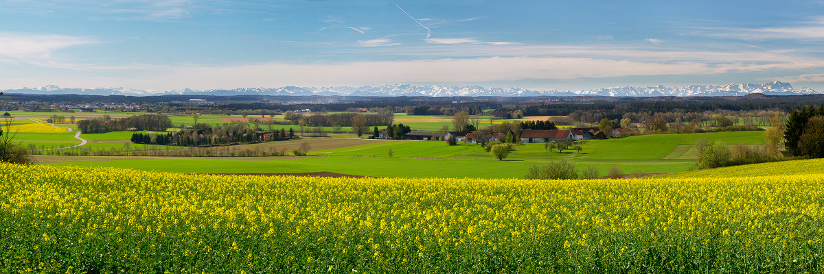 Der Frühling ist da