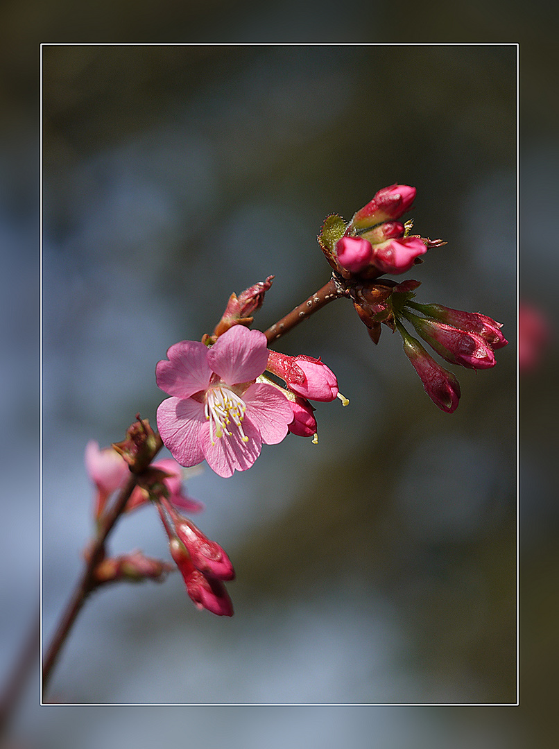 Der Frühling ist da!