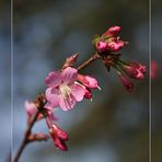 Der Frühling ist da!