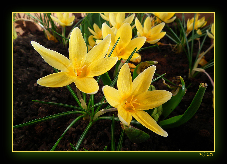 Der Frühling ist da!