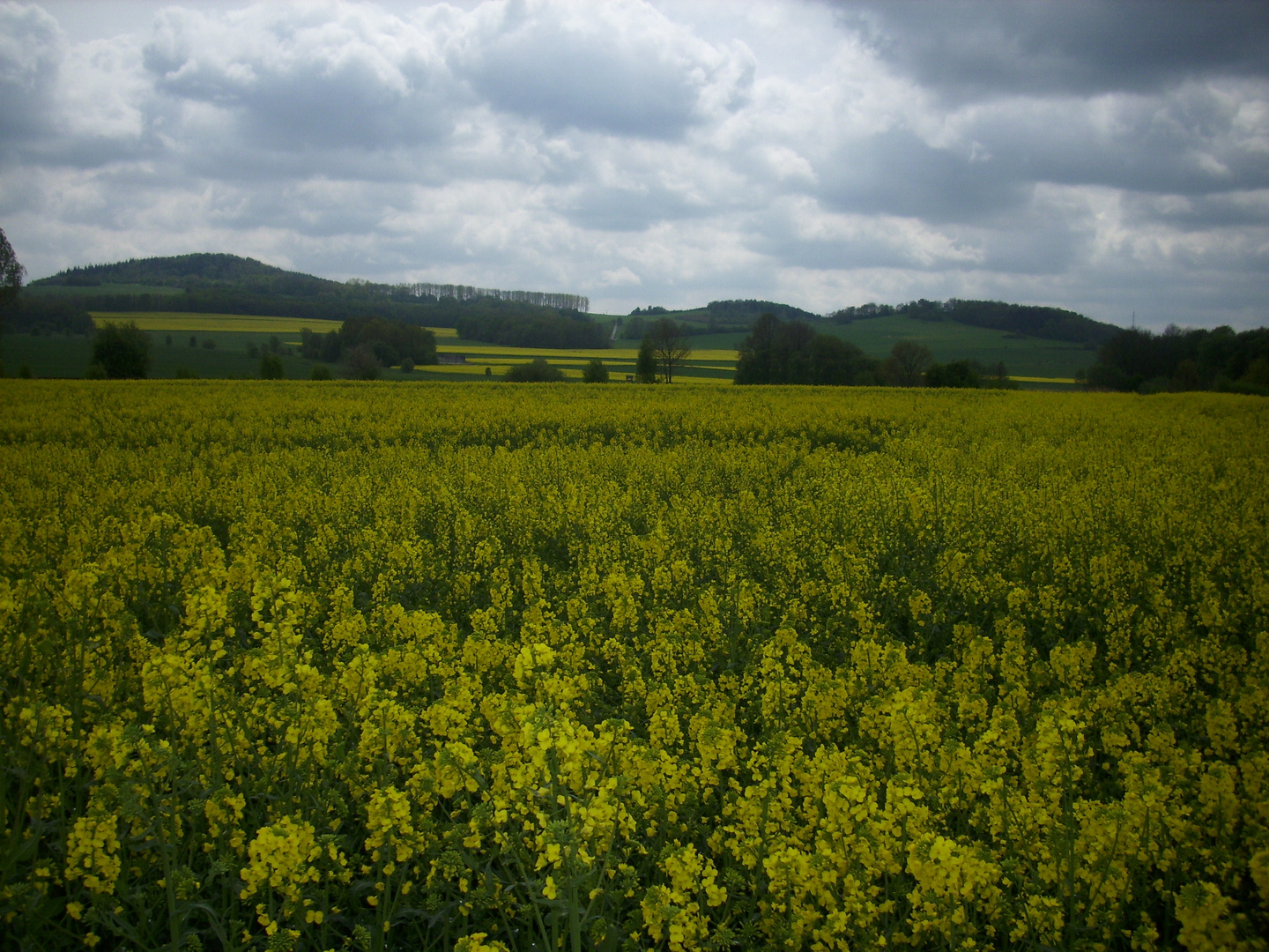 Der Frühling ist da